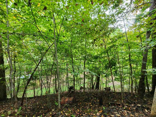 LOT 7 POINT DR, HARDY, VA 24101 - Image 1