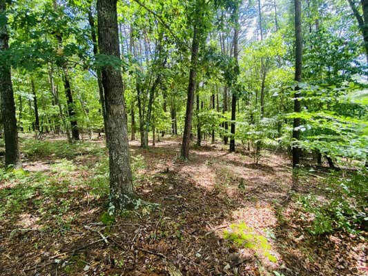 LOT 97 GREENBERRY DR, PITTSVILLE, VA 24139 - Image 1