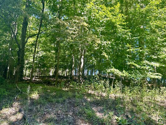 LOT 1 WHISPERWOOD LN, MONETA, VA 24121 - Image 1