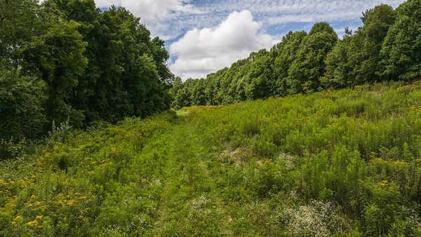 0 FOOTBALL LN, LAUREL FORK, VA 24352, photo 4 of 34