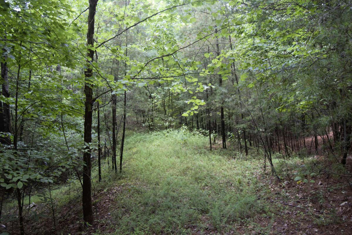 LOT 369 MT AIRY RD, LYNCH STATION, VA 24571, photo 1 of 43