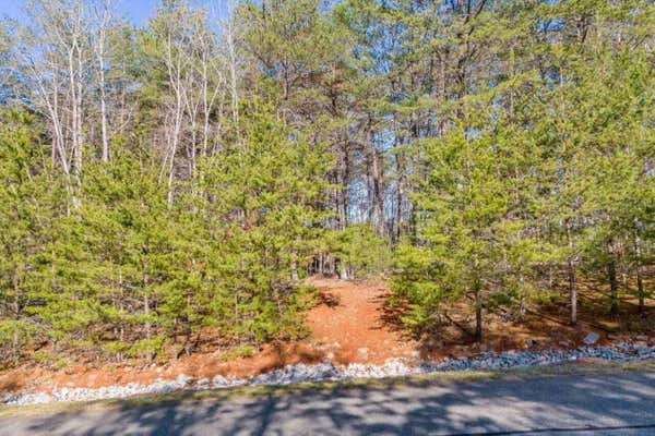 LOT 61 GARRISON RIDGE, PITTSVILLE, VA 24139 - Image 1