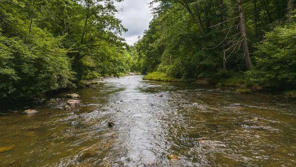 TBD HORSE SHOE BEND RD, HILLSVILLE, VA 24343 - Image 1