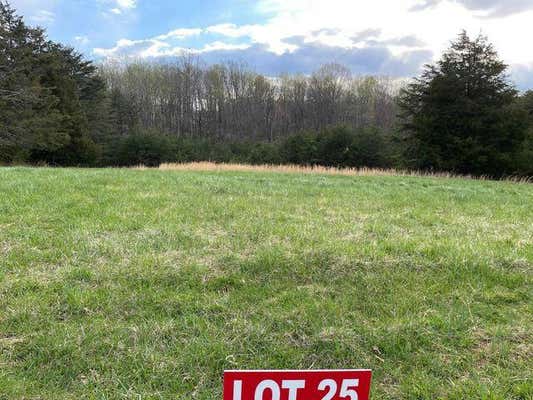 LOT 25 WINDSOR CASTLE DR, MONETA, VA 24121 - Image 1