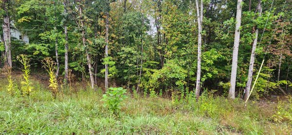 36 CIRCLE VIEW ST LOT 35, ROCKY MOUNT, VA 24151 - Image 1