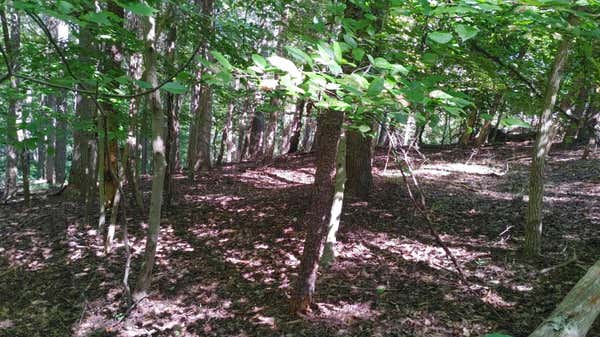 LOT 53 RIDGEWAY CT, MONETA, VA 24121 - Image 1