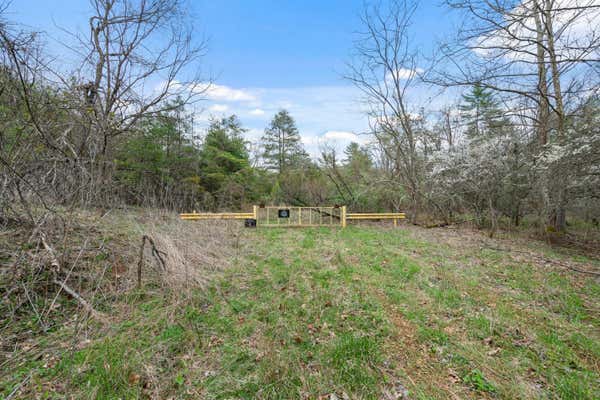 TBD COLE MOUNTAIN RD, HIWASSEE, VA 24347 - Image 1