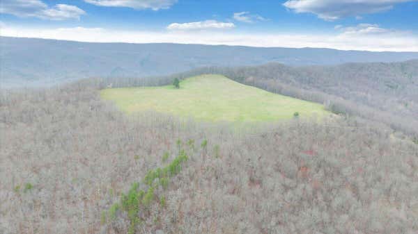 0 CLEAR FORK CREEK RD, BASTIAN, VA 24314 - Image 1