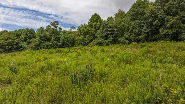 0 FOOTBALL LN, LAUREL FORK, VA 24352, photo 3 of 34