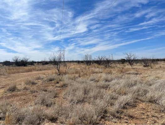 0 RANCH ROAD 2183, COLORADO CITY, TX 79511 - Image 1