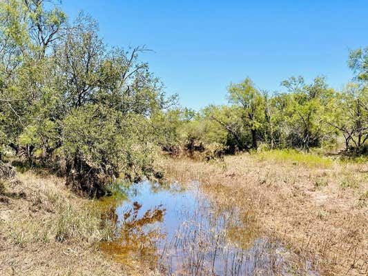 11422 W GRAPE CREEK RD, SAN ANGELO, TX 76901 - Image 1