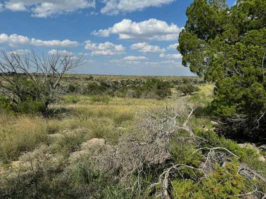 . DEER RUN RD, OZONA, TX 76943 - Image 1