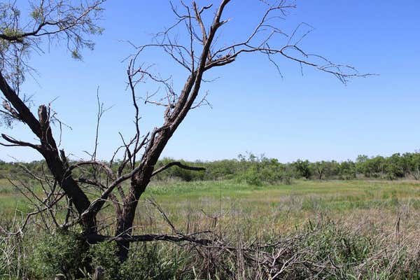 0 COUNTY RD 273, NORTON, TX 79567, photo 2 of 4