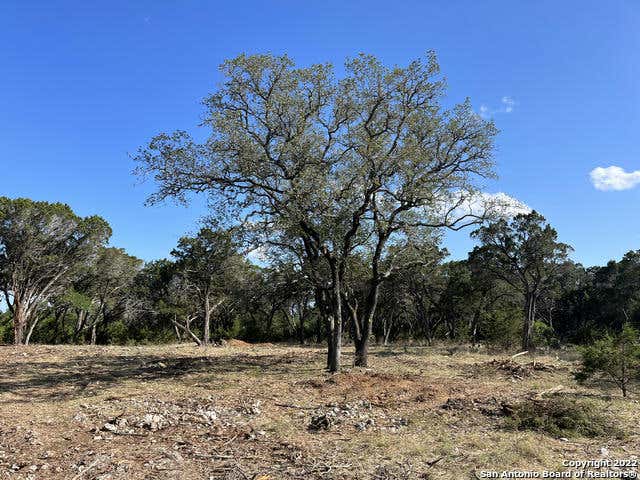 102 RIVERWOOD, BOERNE, TX 78006, photo 1 of 19