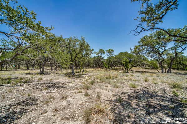 725 LIVE OAK RIDGE RD, BULVERDE, TX 78163, photo 3 of 8