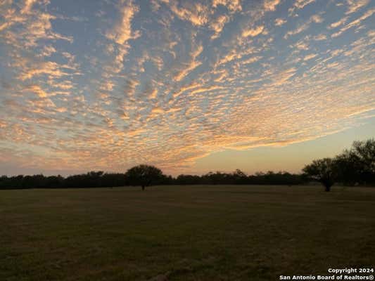 3499 COUNTY ROAD 476, NIXON, TX 78140, photo 5 of 50