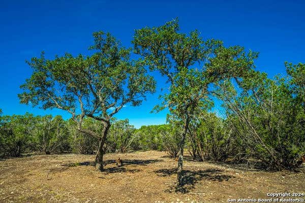 LOT 9 GILLESPIE RIDGE, HARPER, TX 78058 - Image 1