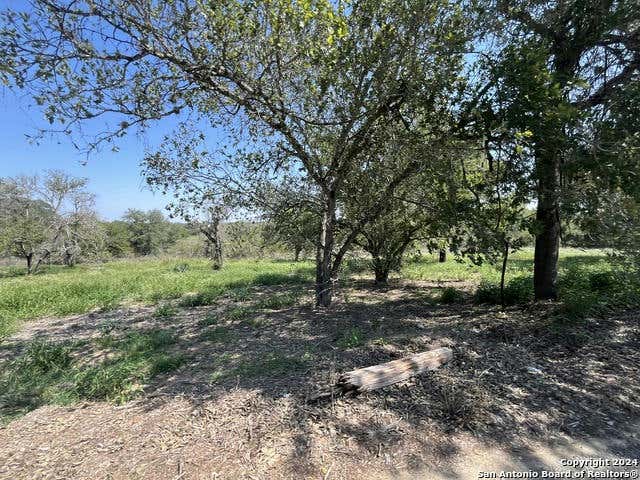 497 COUNTY ROAD 124, FLORESVILLE, TX 78114, photo 1 of 33