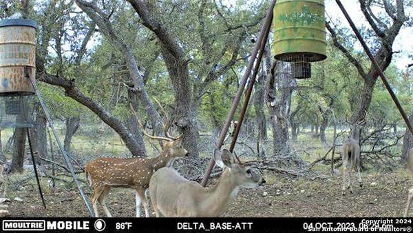 1976 FM 479, HARPER, TX 78631, photo 2 of 23