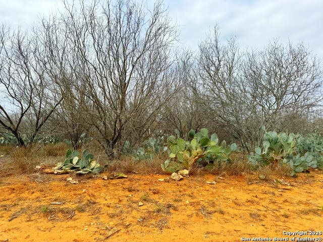 TBD OLD HWY 81 Lot 5  