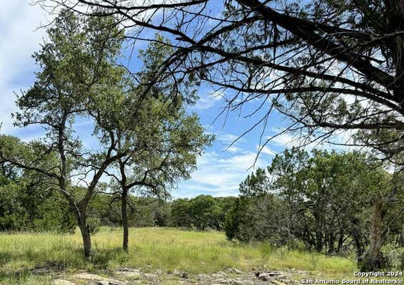 34753 CARRIES CREEK DR, BULVERDE, TX 78163, photo 4 of 37