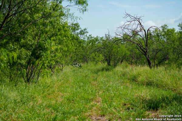 000 CR 241, THREE RIVERS, TX 78071, photo 3 of 5