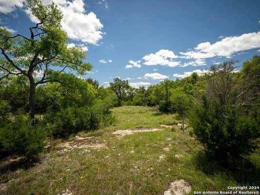 11 CORDILLERA SPGS, BOERNE, TX 78006, photo 5 of 36