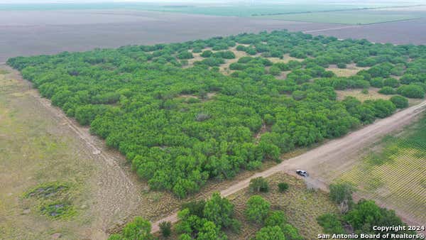 TBD CR 2400 W, RAYMONDVILLE, TX 78580, photo 2 of 4