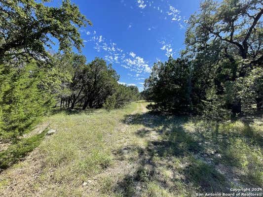 7717 CALCUTTA RUN DR, JONESTOWN, TX 78645, photo 3 of 10