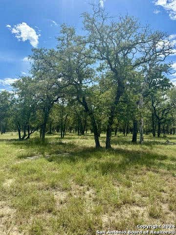 682 TERRACE HILL LN, FLORESVILLE, TX 78114, photo 1 of 11