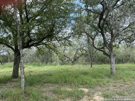 20588 S STATE HIGHWAY 16, ATASCOSA, TX 78002 - Image 1