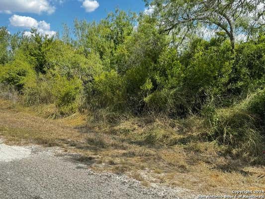 LOT 32 CLEARVIEW CIR., SANDIA, TX 78383 - Image 1