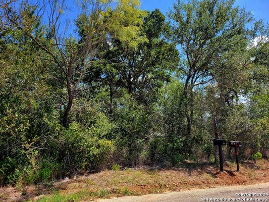 TBD DALE LN, DALE, TX 78616 - Image 1