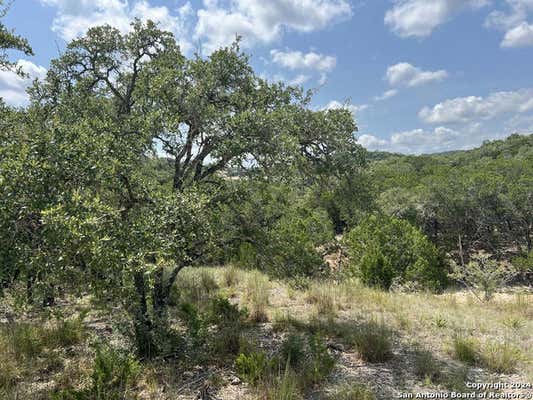 245 SYDNEY SPGS, HELOTES, TX 78023 - Image 1