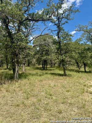 682 TERRACE HILL LN, FLORESVILLE, TX 78114, photo 3 of 11