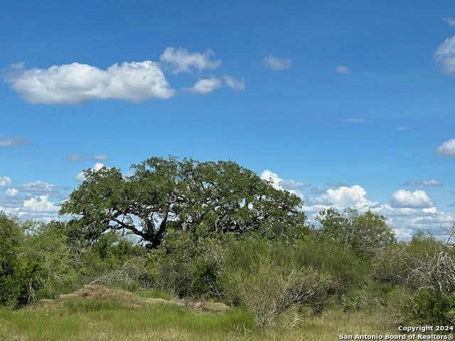 10514 COUNTY ROAD 115, MINERAL, TX 78102, photo 1 of 35