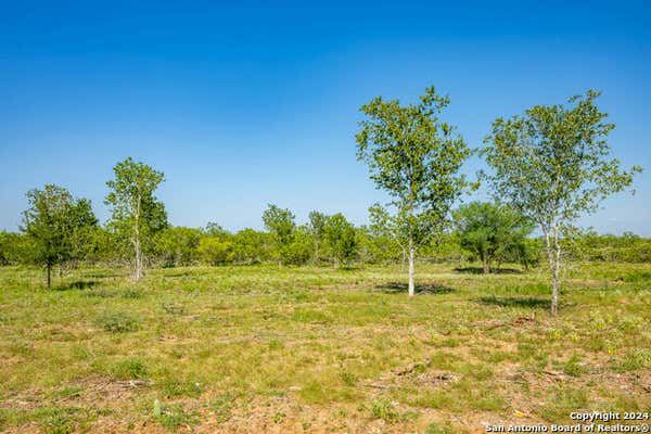 TBD CR 180, SMILEY, TX 78159, photo 2 of 17