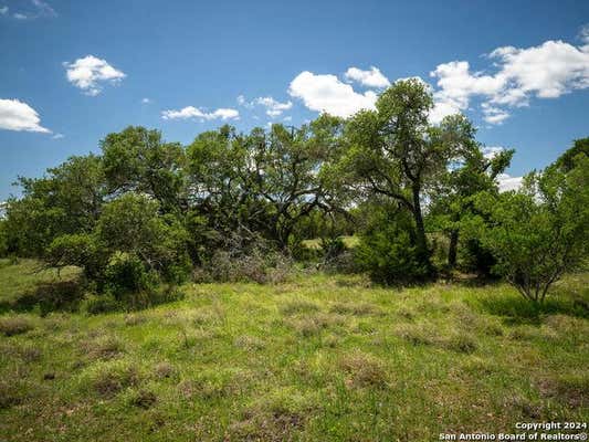 11 CORDILLERA SPGS, BOERNE, TX 78006, photo 2 of 36