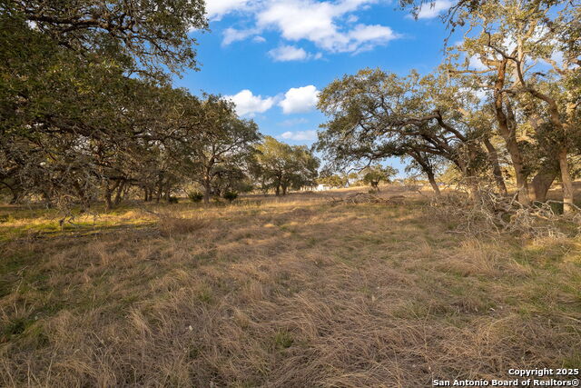 Bulverde, Texas, 78163, United States, 4 Bedrooms Bedrooms, ,5 BathroomsBathrooms,Residential,Active,1757621