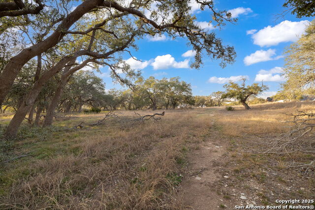 Bulverde, Texas, 78163, United States, 4 Bedrooms Bedrooms, ,5 BathroomsBathrooms,Residential,Active,1757621