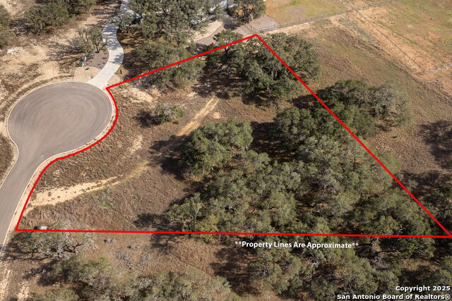 Bulverde, Texas, 78163, United States, 4 Bedrooms Bedrooms, ,5 BathroomsBathrooms,Residential,Active,1757621