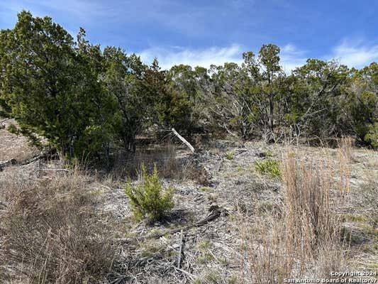 455 PR 1748, MICO, TX 78056, photo 5 of 10