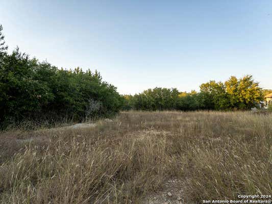 113 S JOHN BIRD, BLANCO, TX 78606 - Image 1