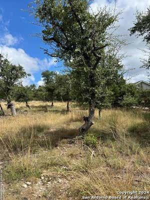 375 NIGHTHAWK CT, CANYON LAKE, TX 78133, photo 2 of 5