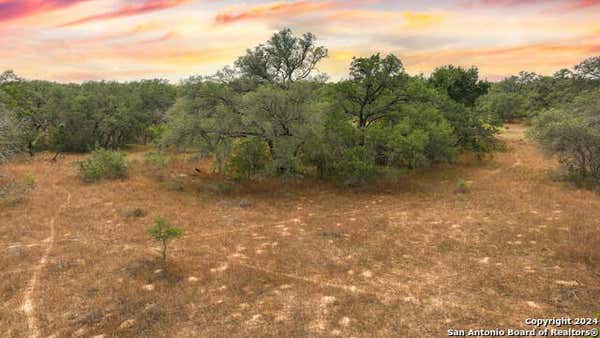 334 PR SUNSET VISTA DR LOT 103, SOMERSET, TX 78069, photo 4 of 7