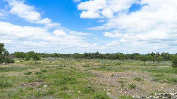 1976 FM 479, HARPER, TX 78631, photo 5 of 23