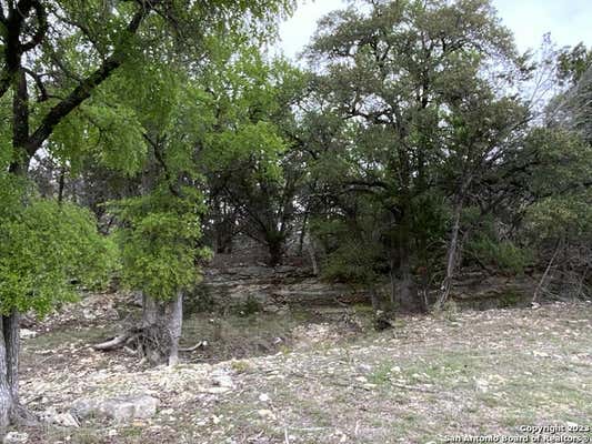 5400 FM 2325, WIMBERLEY, TX 78676, photo 3 of 17