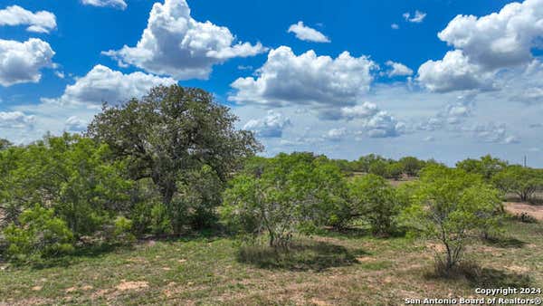 009 CR 477, STOCKDALE, TX 78160 - Image 1