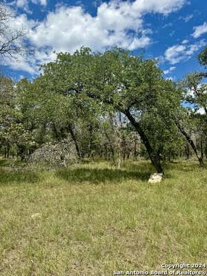 682 TERRACE HILL LN, FLORESVILLE, TX 78114, photo 4 of 11