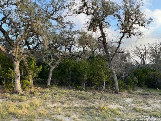 000 LEINWEBER DR., LEAKEY, TX 78873 - Image 1